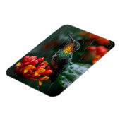Hummingbird auf heller Blume Magnet (Linke Seite)