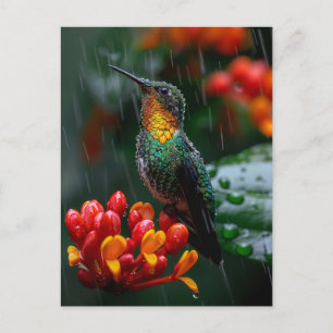 Hummingbird auf heller Blume Postkarte