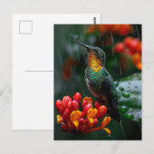 Hummingbird auf heller Blume Postkarte (Vorne/Hinten)
