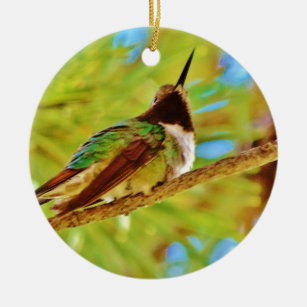 Hummingbird auf immergrün keramik ornament