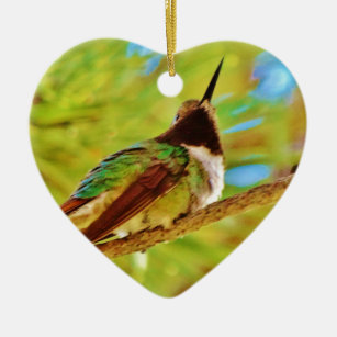 Hummingbird auf immergrün keramikornament
