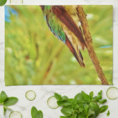 Hummingbird auf immergrün küchentuch (Gefaltet)