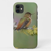 Hummingbird auf Kiefern Case-Mate iPhone Hülle (Rückseite)