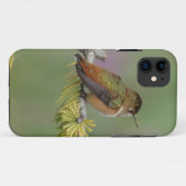 Hummingbird auf Kiefern Case-Mate iPhone Hülle (Rückseite (Horizontal))