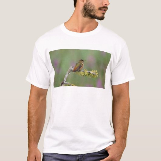 Hummingbird auf Kiefern T-Shirt (Vorderseite)