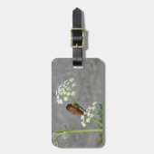 Hummingbird auf Königin Anns Spitzen-Blume Gepäckanhänger (Vorderseite vertikal)