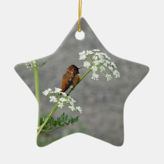 Hummingbird auf Königin Anns Spitzen-Blume Keramik Ornament (Vorne)