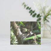 Hummingbird auf Nest Postkarte (Stehend Vorderseite)