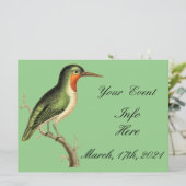 Hummingbird auf Zweig Thunder_Cove (Stehend Vorderseite)