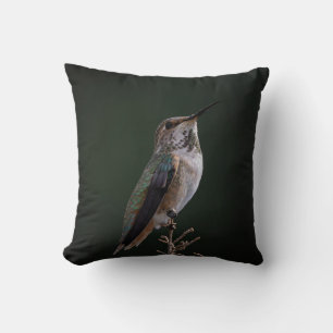 Hummingbird auf Zweig - Vogelfotografie Kissen