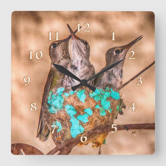 HUMMINGBIRD BABIES BUSTING LOOSE QUADRATISCHE WANDUHR (Vorderseite)