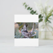 Hummingbird Babys Postkarte (Stehend Vorderseite)