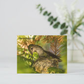 Hummingbird baut ein Nest- Postkarte (Stehend Vorderseite)