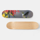 Hummingbird Beauty Skateboard (Horizontal)