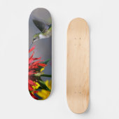Hummingbird Beauty Skateboard (Vorderseite)