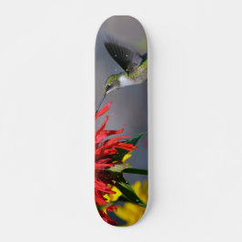 Hummingbird Beauty Skateboard