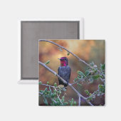 Hummingbird bei Sonnenuntergang Magnet (Vorderseite/Rückseite)