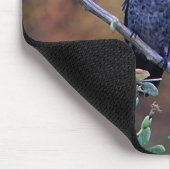 Hummingbird bei Sonnenuntergang Mousepad (Ecke)