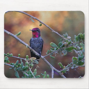 Hummingbird bei Sonnenuntergang Mousepad