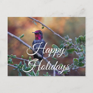 Hummingbird bei Sonnenuntergang Postcard, Happy Ho Postkarte