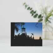 Hummingbird bei Sonnenuntergang Postkarte (Stehend Vorderseite)