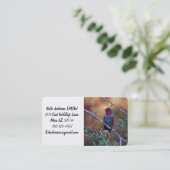 Hummingbird bei Sonnenuntergang Visitenkarte (Stehend Vorderseite)