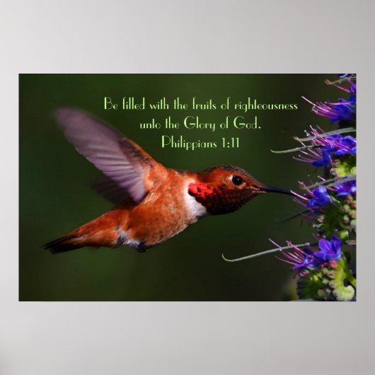 Hummingbird Bible verse Philippians 1:11 Poster (Vorne)