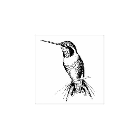 Hummingbird Bird Animal Wildlife Wood Briefmarke Gummistempel (Prägung)