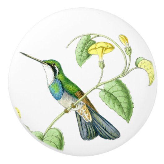 Hummingbird Bird Blume Floral Garden Knob Keramikknauf (Vorderseite)