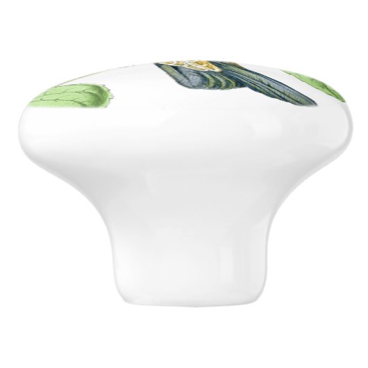 Hummingbird Bird Blume Floral Garden Knob Keramikknauf (Seitenansicht)