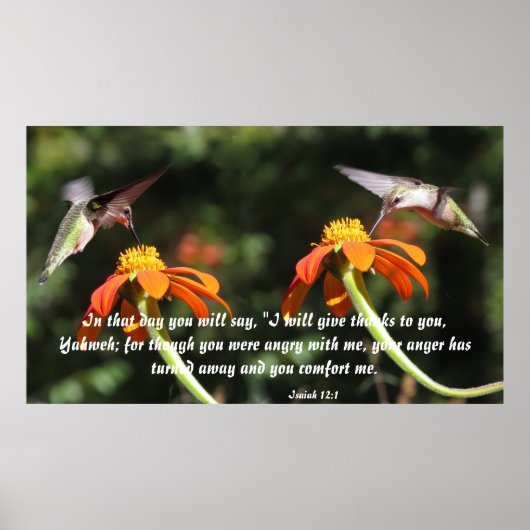 Hummingbird Bird Blume Floral Isaiah 12:2 Komfort Poster (Vorne)