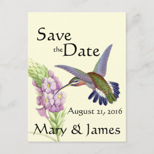 Hummingbird Bird Blume Floral Save the Date Ankündigungspostkarte