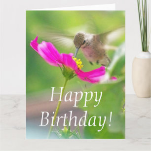 Hummingbird Bird Floral Geburtstag Big Grußkarte Karte
