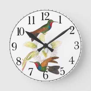 Hummingbird Bird Floral Wall Clock Runde Wanduhr