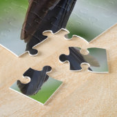 Hummingbird Bird Perched Beak Feathers Puzzle (Seite)