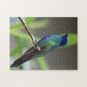 Hummingbird Bird Perched Beak Feathers Puzzle (Horizontal)