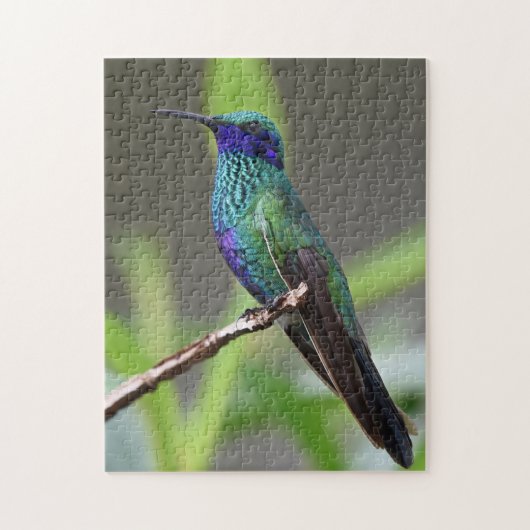 Hummingbird Bird Perched Beak Feathers Puzzle (Vertikal)