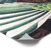 Hummingbird Bird Wildlife Classic Malerei Poster (Ecke)