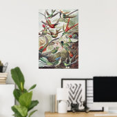 Hummingbird Bird Wildlife Classic Malerei Poster (Heimbüro)