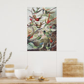 Hummingbird Bird Wildlife Classic Malerei Poster (Küche)