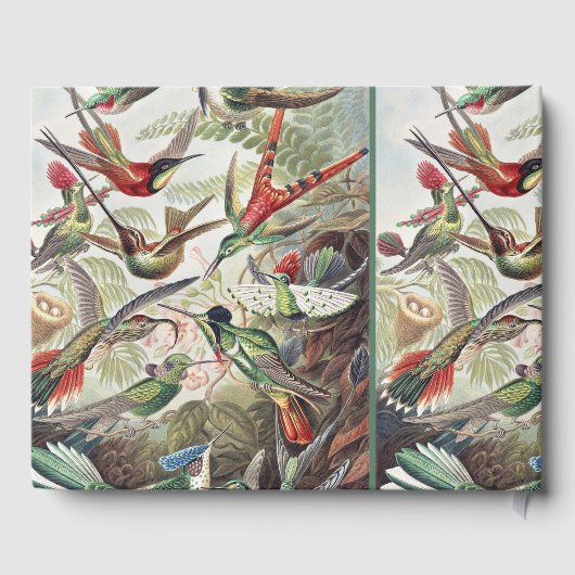 Hummingbird Bird Wildlife Classic Painting Gästebuch (Rückseite)