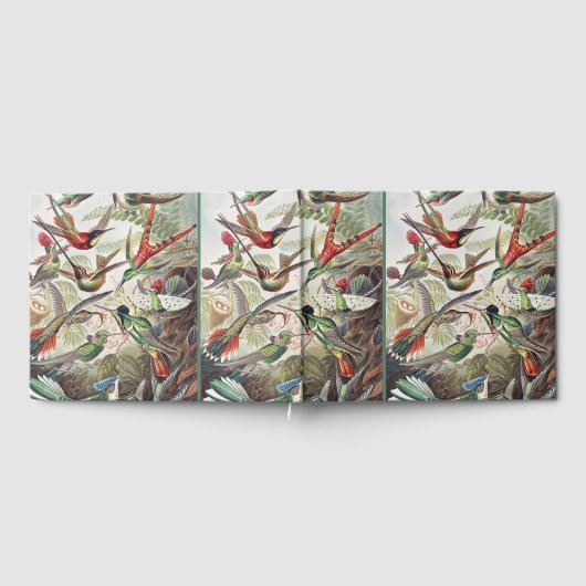 Hummingbird Bird Wildlife Classic Painting Gästebuch (Voll)