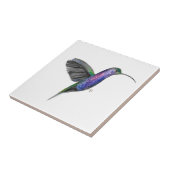 Hummingbird Bird Wildlife Fliese (Seite)