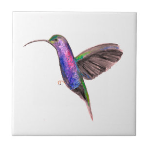 Hummingbird Bird Wildlife Fliese