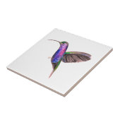 Hummingbird Bird Wildlife Fliese (Seite)