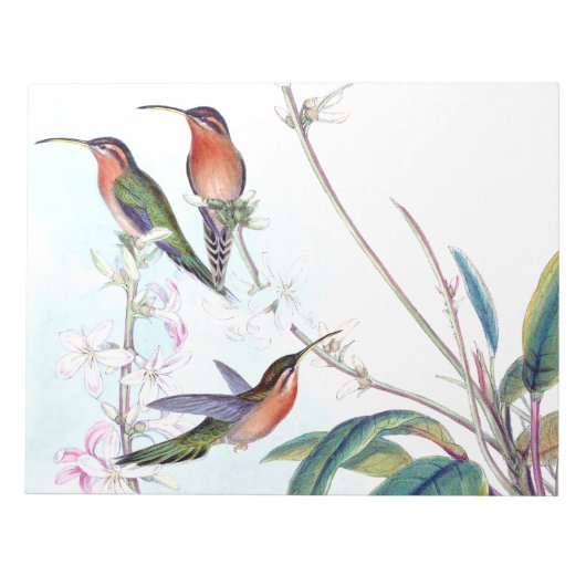 Hummingbird Birds Blume Floral Wildlife Notizblock (Vorderseite)