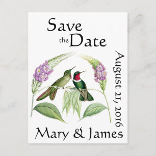 Hummingbird Birds Wildlife Blume Save the Date Ankündigungspostkarte