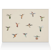 Hummingbird Birthday Card (Innenansicht Horizontal (Oben))