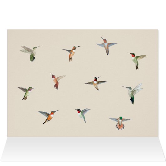 Hummingbird Birthday Card (Innenansicht Horizontal (Oben))