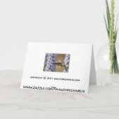 Hummingbird Birthday Card Karte (Rückseite)